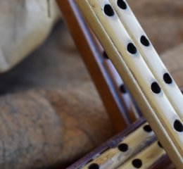 Ξεκινούν τα τμήματα μουσικών οργάνων στον «Μανουήλ Κομνηνό» Πετρούπολης