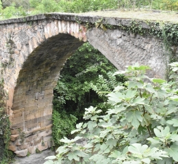 Τη Τρίχας τo γεφύριν