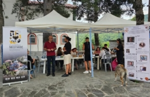 Για 12η συνεχόμενη χρονιά ο Ποντιακός Σύλλογος Ζυγού Καβάλας στο Συναπάντημα Νεολαίας Ποντιακών Σωματείων