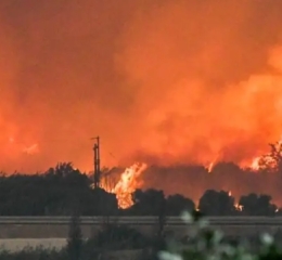 Φωτιά στην Αχαΐα: Τεράστιες καταστροφές από την πύρινη κόλαση – «Βροχή» τα μηνύματα εκκένωσης, στο νοσοκομείο τραυματίες