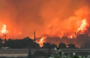 Φωτιά στην Αχαΐα: Τεράστιες καταστροφές από την πύρινη κόλαση – «Βροχή» τα μηνύματα εκκένωσης, στο νοσοκομείο τραυματίες