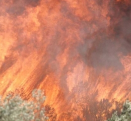 Φωτιά στην Κερατέα: Αναφορές ότι εντοπίστηκε γκαζάκι &#8211; «Βρέθηκε το σημείο από όπου ξεκίνησε»