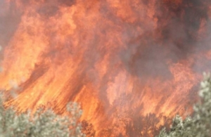 Φωτιά στην Κερατέα: Αναφορές ότι εντοπίστηκε γκαζάκι &#8211; «Βρέθηκε το σημείο από όπου ξεκίνησε»
