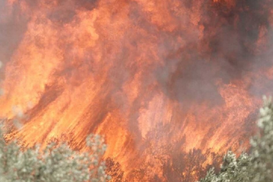 Φωτιά στην Κερατέα: Αναφορές ότι εντοπίστηκε γκαζάκι &#8211; «Βρέθηκε το σημείο από όπου ξεκίνησε»