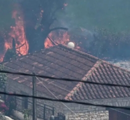Φωτιά στην Πρέβεζα: Σε κατάσταση έκτακτης ανάγκης ο Δήμος Ζηρού – Κατεπείγουσα έρευνα για εμπρησμό