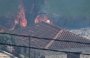 Φωτιά στην Πρέβεζα: Σε κατάσταση έκτακτης ανάγκης ο Δήμος Ζηρού – Κατεπείγουσα έρευνα για εμπρησμό