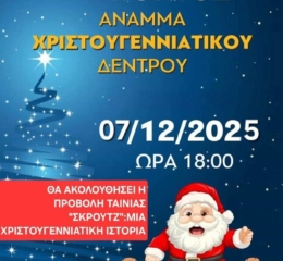 Άναμμα Χριστουγεννιάτικου Δέντρου στον «Πόντο» Αλωνακίων