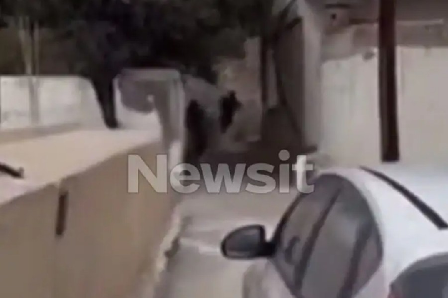 Βορίζια: Συνελήφθη και ο δεύτερος άντρας που εμφανίζεται στο βίντεο με τον γαμπρό του Καργάκη