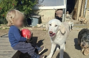 Τραγωδία στη Ζάκυνθο: «Το πίτμπουλ τρόμαξε από πυροβολισμούς κυνηγών και κατασπάραξε τον Λίο» λέει η μητέρα του δίχρονου