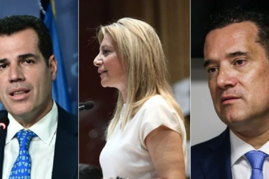 Άδωνις και Πλεύρης για Καρυστιανού: «Θα την κρίνουμε ως πολιτικό φορέα και όχι ως μητέρα θύματος»