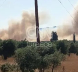 Καίει ανέξελεγκτη η φωτιά στη Βοιωτία, μπαράζ 112 για εκκένωση – Μάχη χωρίς εναέρια μέσα στο Ρέθυμνο