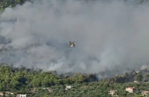 Μάχη με τη φωτιά σε τρία μέτωπα στη δυτική Αττική – Συνεχείς αναζωπυρώσεις στην Ψάθα