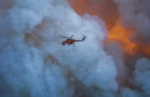 Δύο συλλήψεις για την τεράστια φωτιά στη Βοιωτία: Από σπινθήρες σε δίκτυο ανεμογεννητριών ξέσπασε η πυρκαγιά